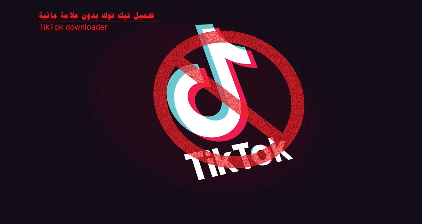 تحميل تيك توك بدون علامة مائية - TikTok downloader