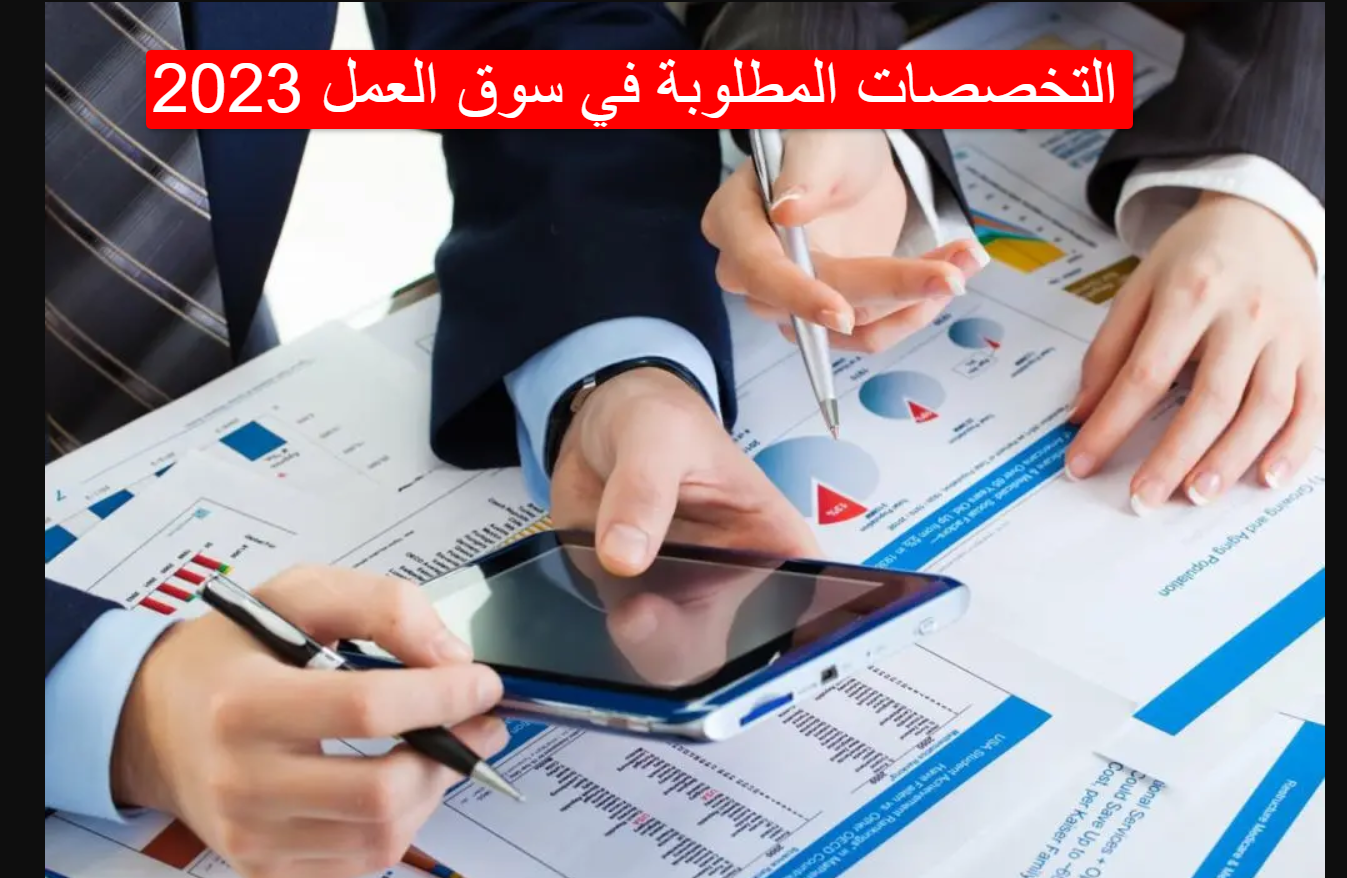 التخصصات المطلوبة في سوق العمل 2023