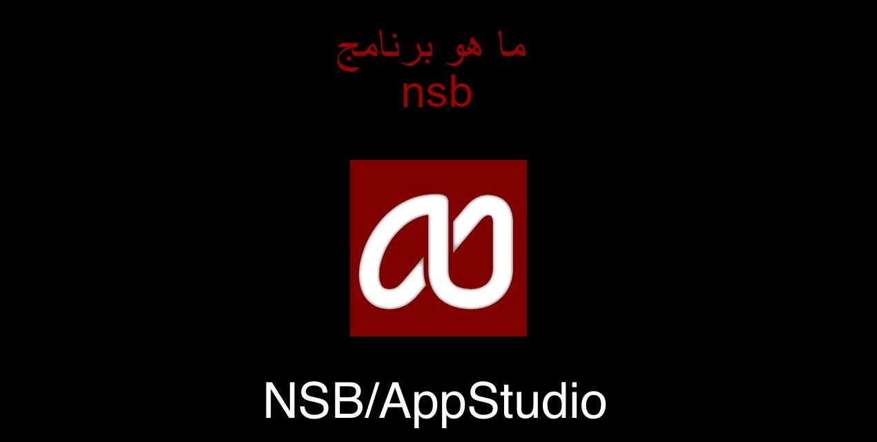 ما هو برنامج nsb